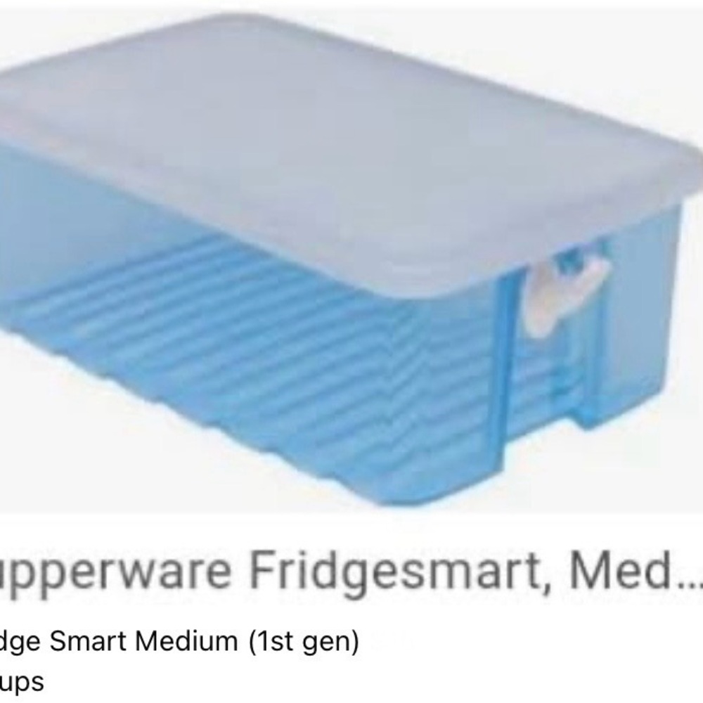 Tupperware Fridgesmart medium container